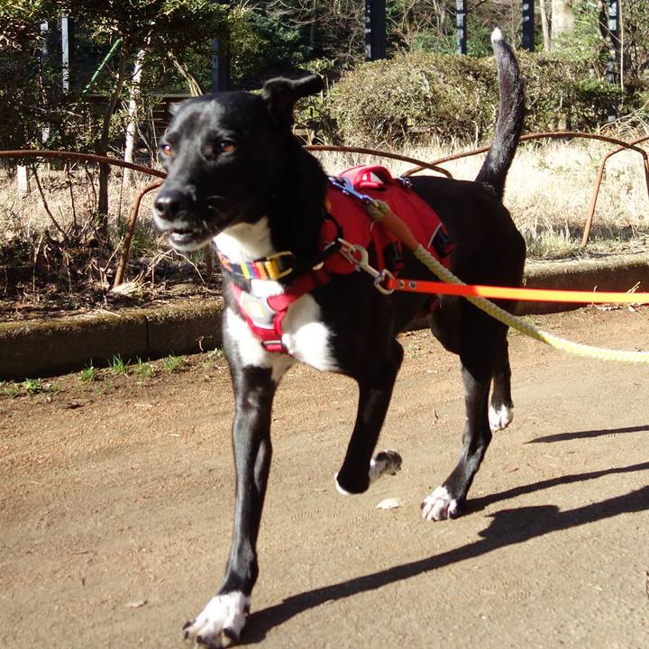 07e5c95e 858a 49c4 8a6a c5aec3928232 1582851304997