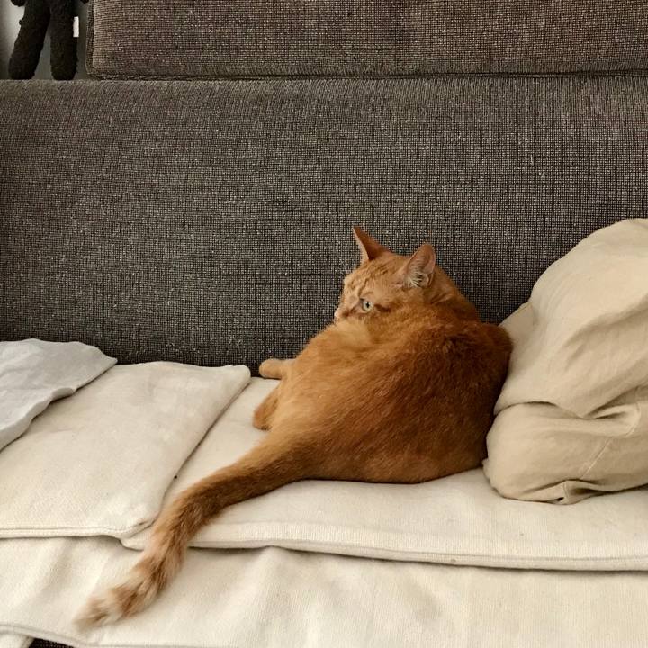 07e5d238 6086 49fc bc65 28d37fcb97ae 1570589242521