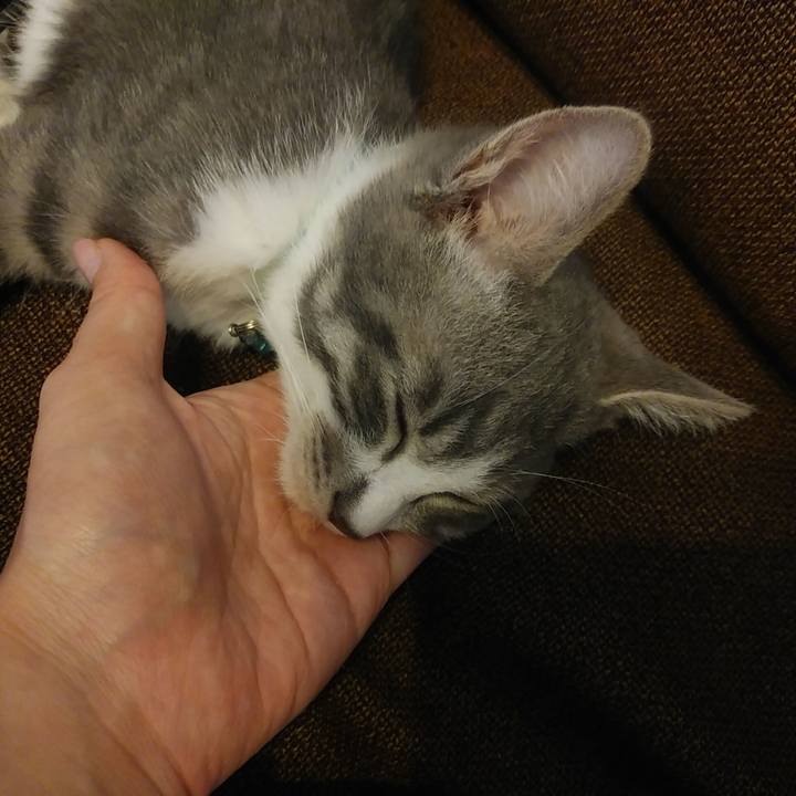 07e5fc1b fcdc 4b7d b01f f88b5b7667ba 1564648842107