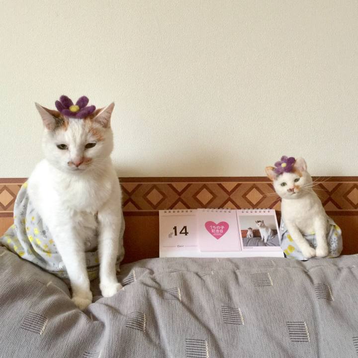 07e6099b 94fe 4536 a227 211ab33c8b86 1542148991573