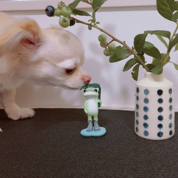 07e624c1 3f97 440a 80f1 0149a2b6440d 1688043695267