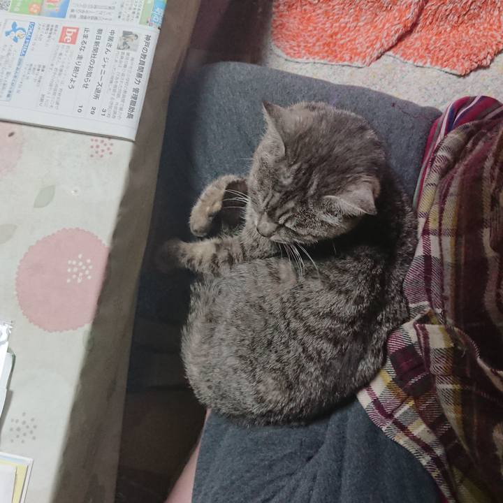 07e63816 06ec 450e 895f 839c8304d9f2 1582327827821