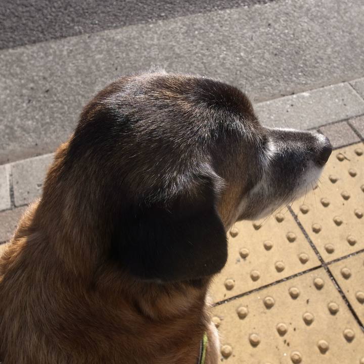 07e6394d 9da4 4066 9483 7ba10fdfdd3a 1592227837300