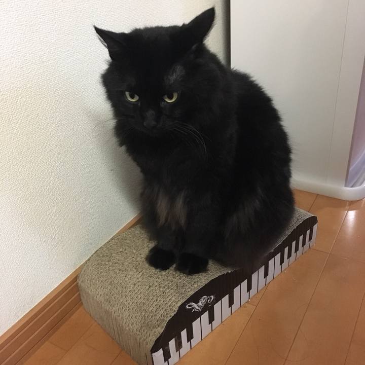 07e657c6 5e94 4321 882d c4553651715b 1535622389614