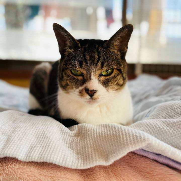 07e66a56 9eda 4c25 a794 8a9c813e3285 1604885212724