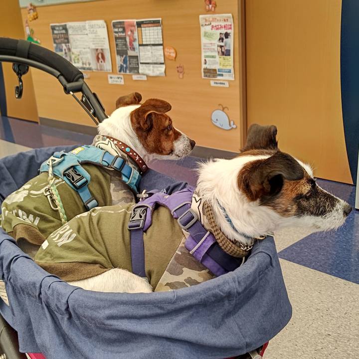 07e6957e 8852 43cf 959d c58b8edae4e2 1636853321714