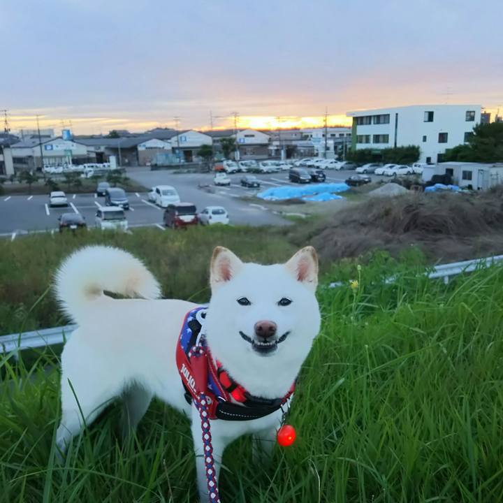 07e6b132 4e67 44fc 8b42 eeb97f2e3fdb 1596189710066