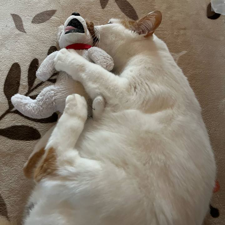 07e6bdbb fd16 4196 9a4a cdad4146156f 1772976624227