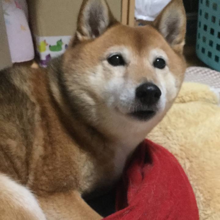 07e72dab 46f3 4baa a781 7cd60d6d0c68 1580383243038