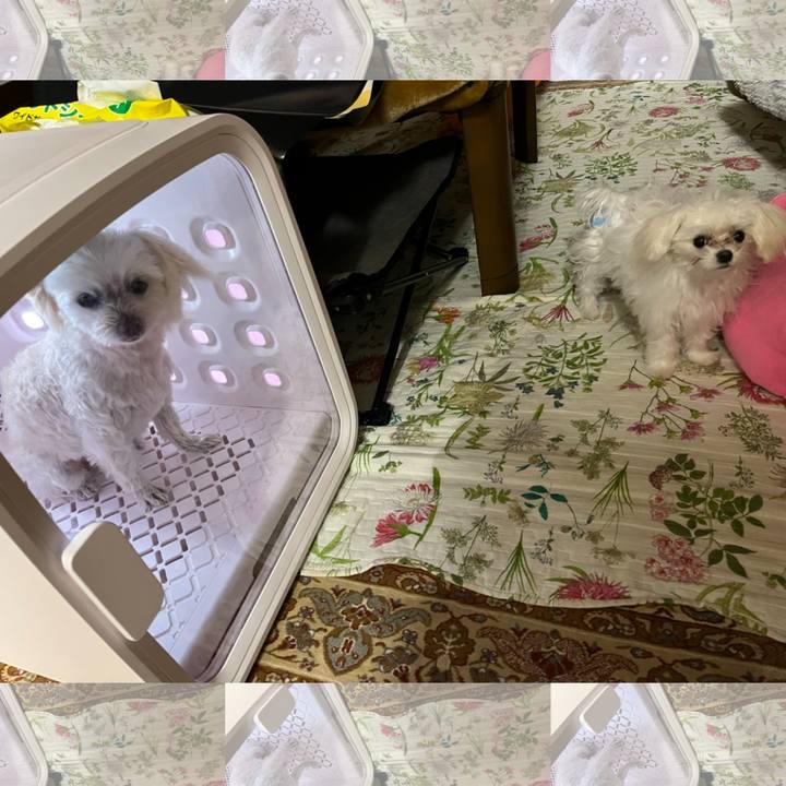 07e75d23 91e4 421c 8391 28c01637c403 1708847925764