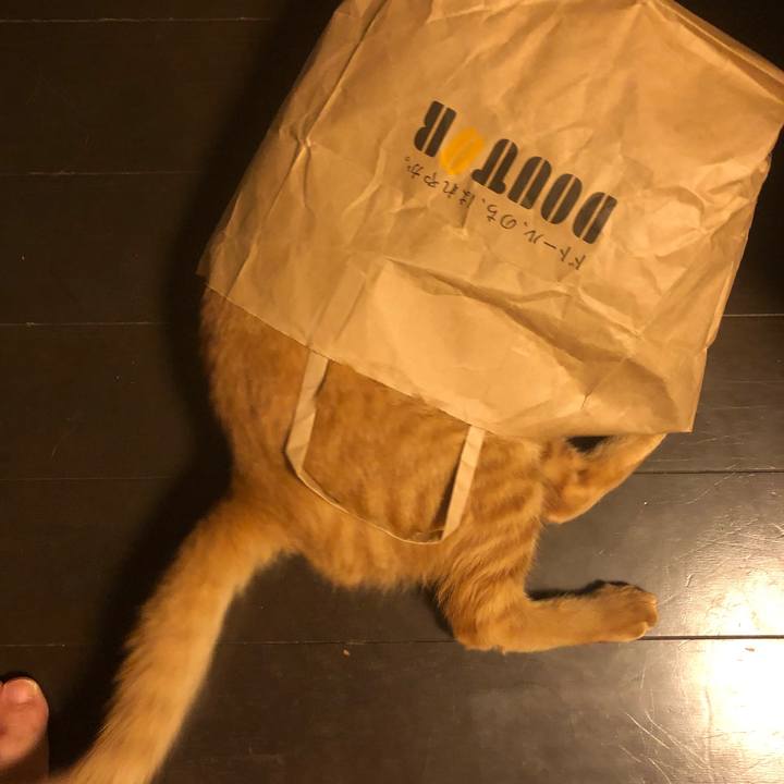 07e7c924 4676 4680 a055 b8552de56fb7 1633350185060