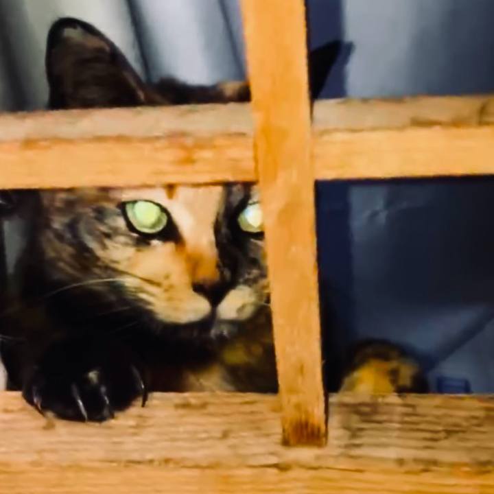 07e7d200 406c 44a8 8f46 e3dec7558f1f 1737836387518