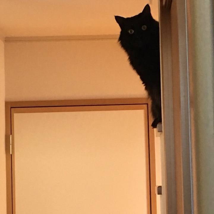 07e7e314 cf45 4381 bba3 2e94df04cc4b 1515650092544