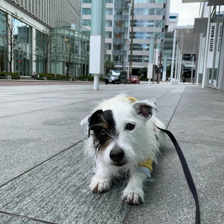 07e7e42a e64a 4c32 bff5 e339aeff03ab 1647743268093