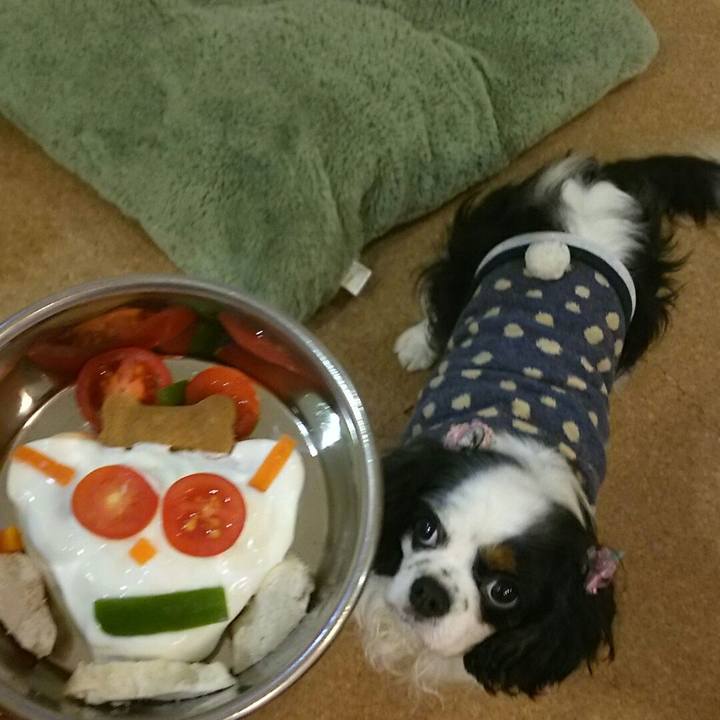 07e88000 f438 4798 b741 d77b20067268 1543412045899