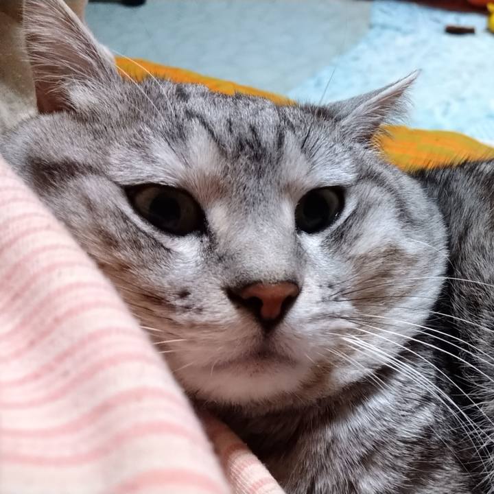 07e89ebb 7b39 43fa 8b73 baf5ccf716aa 1677926365652