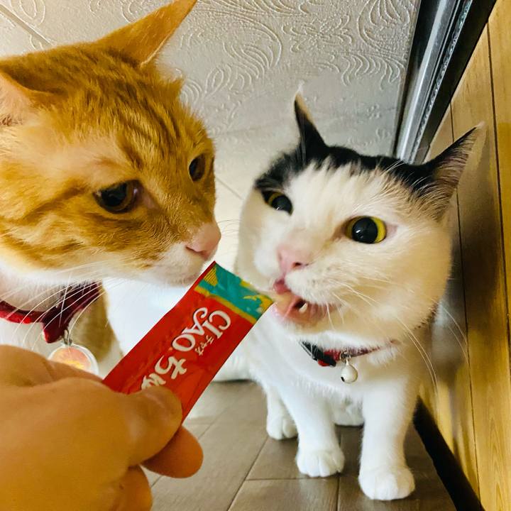 07e8ce80 afa0 42af a246 46f1c843cc0e 1685105355567