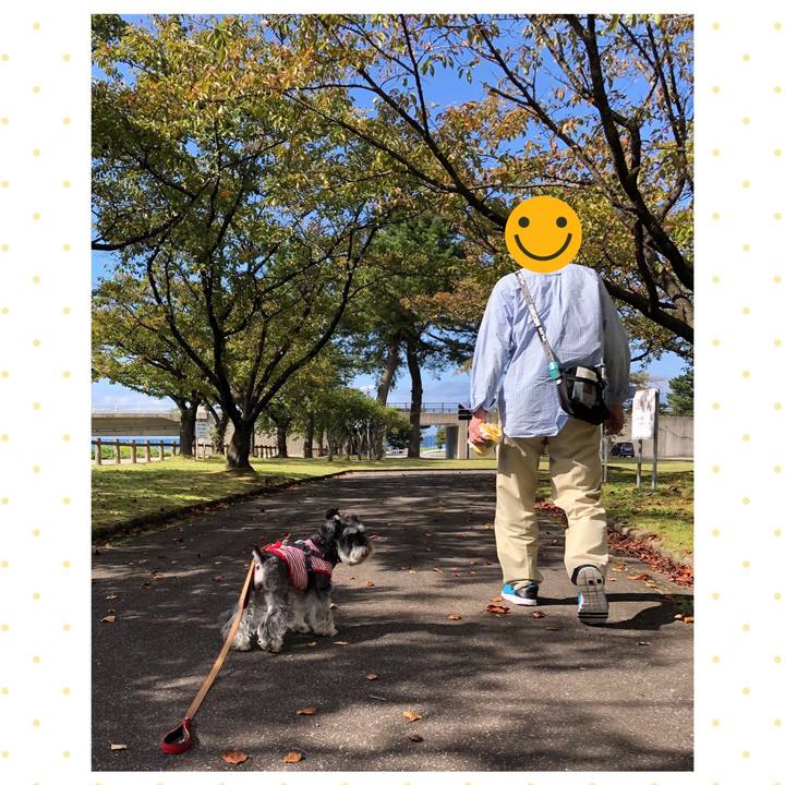 07e8f87d 611f 419c b114 99edea05b4b6 1665647370373