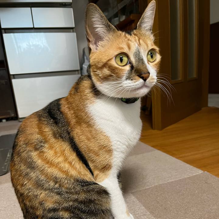 07e90ee3 f773 4af5 891d a8357d3ebcb0 1750890404446