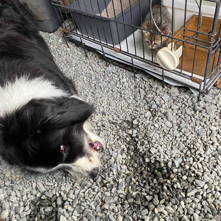 07e912ec 6404 41df aa3e e5da952adfda 1598491890690