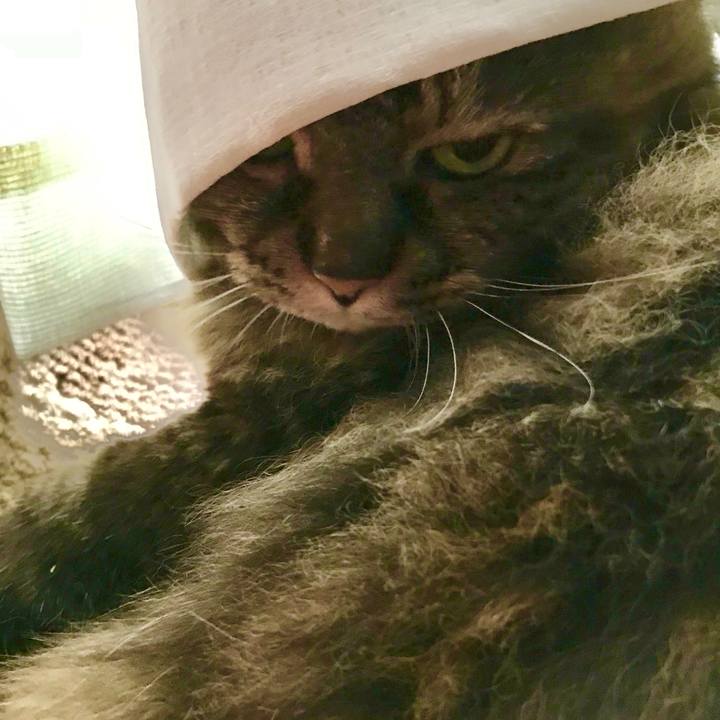 07e916ac 7fe7 457b bc97 551e9950a1b5 1598677673238