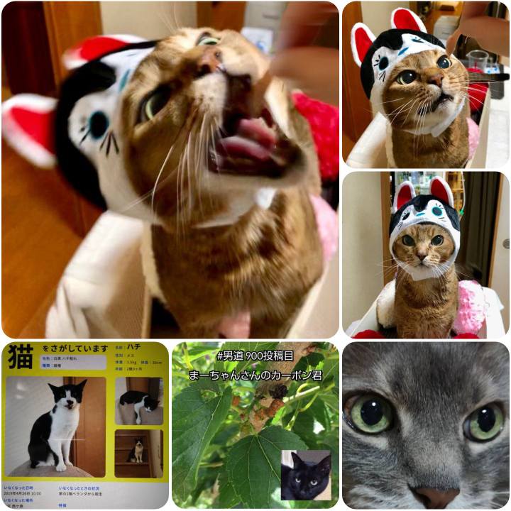 07e91ba2 061c 4a58 8d3c 07a33f13d116 1558613266901