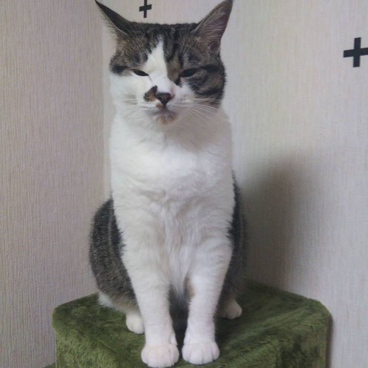 07e94223 e86d 4f68 9d32 76c0286b23d7 1626649460917