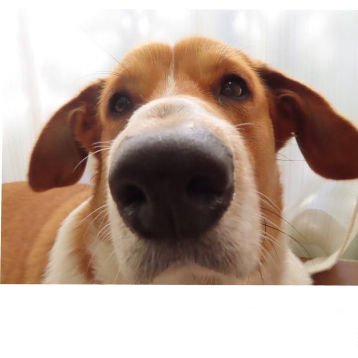 07e944a0 9c2f 4f55 b652 9ab2870a03e5 1642475987576