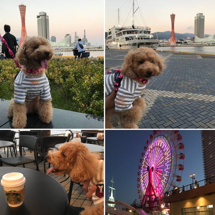 07e9515a d254 47c7 beb3 e3bf335474e7 1540385501358