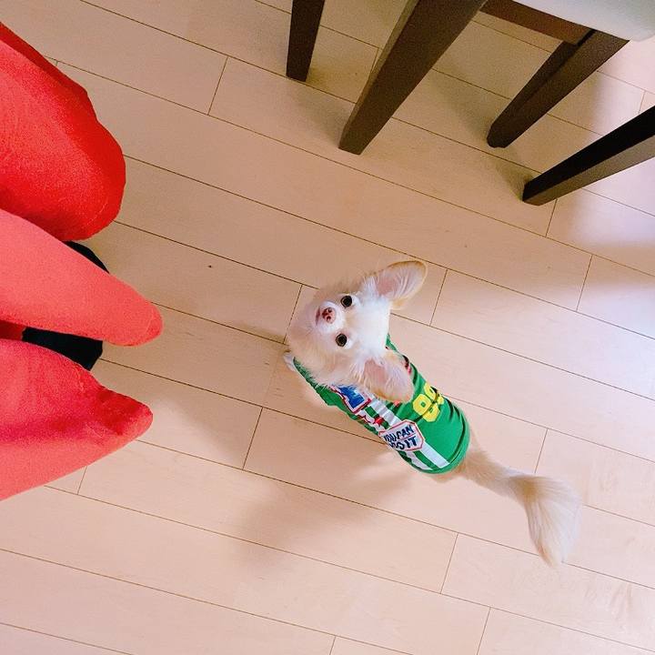 07e96c87 a781 43d1 a2b4 0cef10e616e2 1628416474939