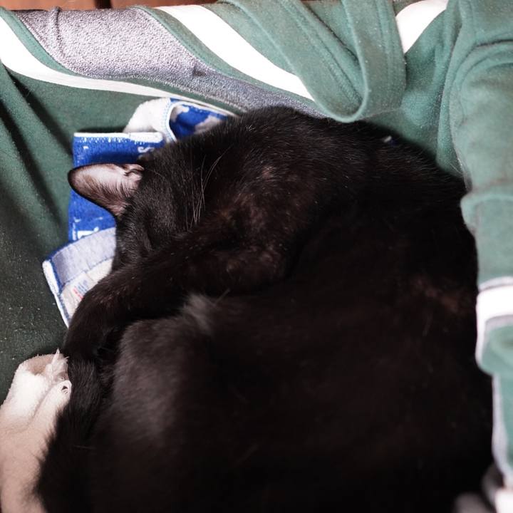 07e983ce a002 494f bcde b5378416da98 1571096746633