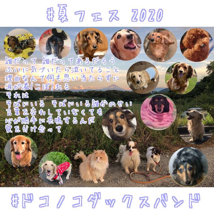 07e98d0a d172 4bf6 b572 3990580c1576 1597330323933