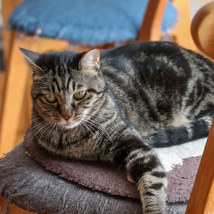 07e9b8b8 8a6d 4615 b126 1b436f6693d0 1761458761644