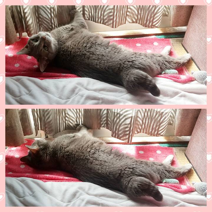 07e9ddba fbd4 41f9 a340 e80a2cfd1057 1682642692151