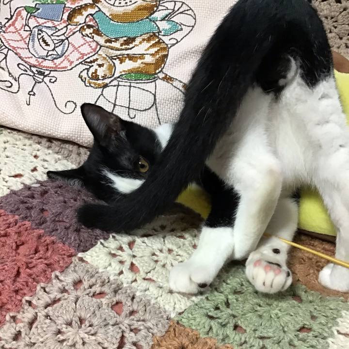 07e9ee25 4fe2 476d 8649 87c098856318 1630636860589