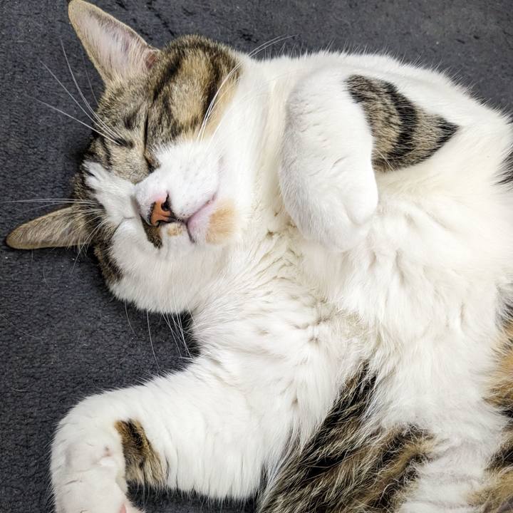 07ea0990 5421 40f4 a508 7286177720f2 1700568546510