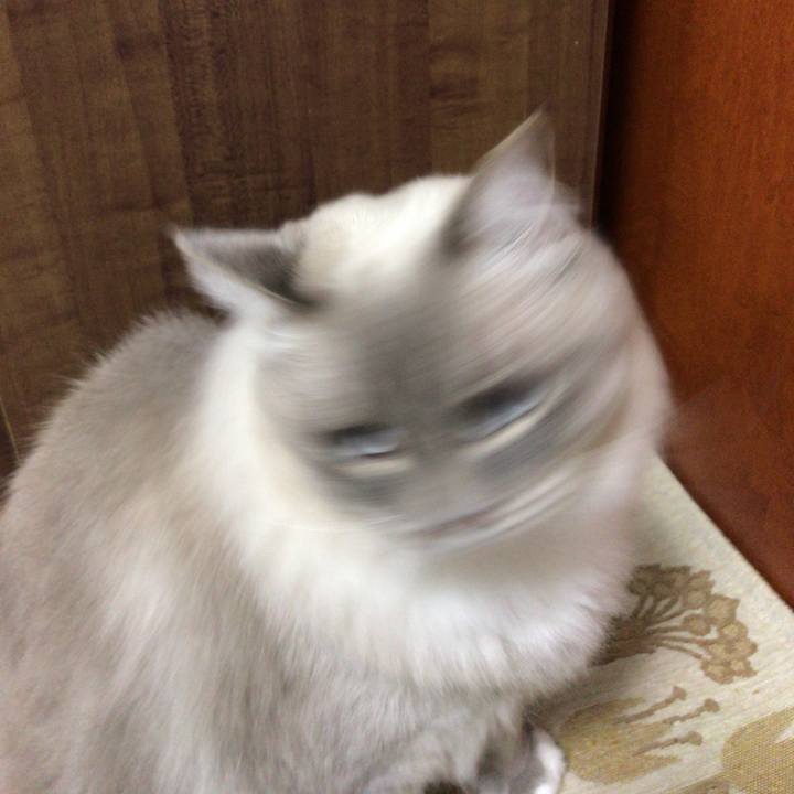 07ea0cec ed4c 4f18 a036 b372840c0f0d 1510842682254