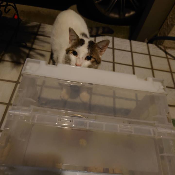 07ea269c 55c8 4a77 b3da 84cbf5ef1be1 1688561218947