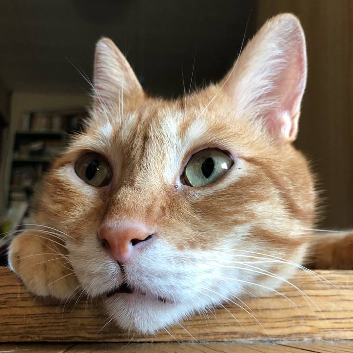 07ea7cf6 eea3 419b a994 ac4d2c2918d0 1628281972359