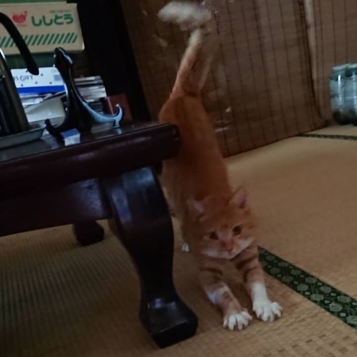 07eaa9bf 8fb4 4e04 81c5 a3bb2f6b9fd1 1598171599969