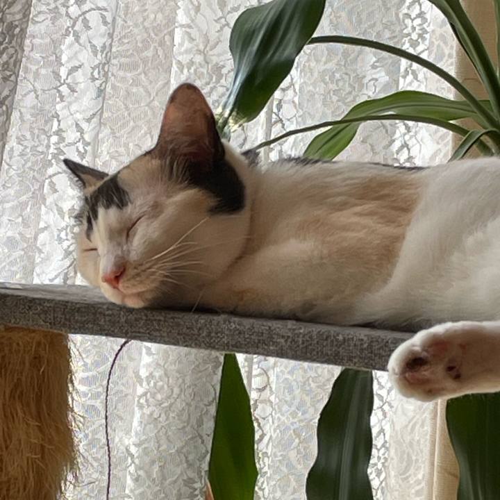 07eaab84 2b54 4fb6 a030 c96c438a4725 1759106077881