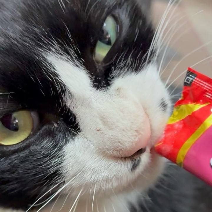 07eab022 7ec6 4bc4 a1b7 2eb9c2c19710 1753843312803