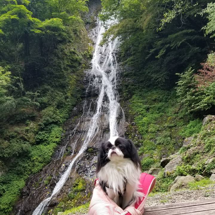 07eab5d8 f7af 42e5 a2e8 18bcc142484d 1662380767363