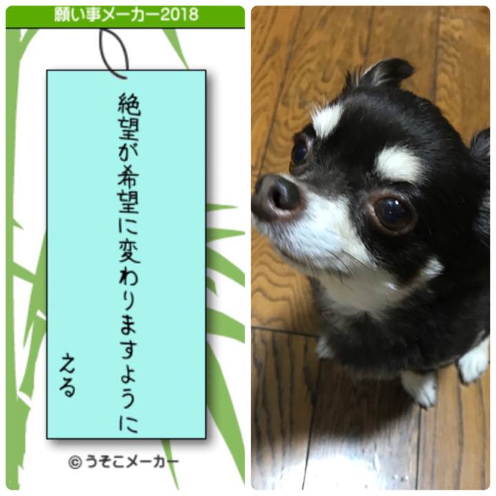 07eb0522 b01a 437e 8098 9a8397f65b46 1530942714257