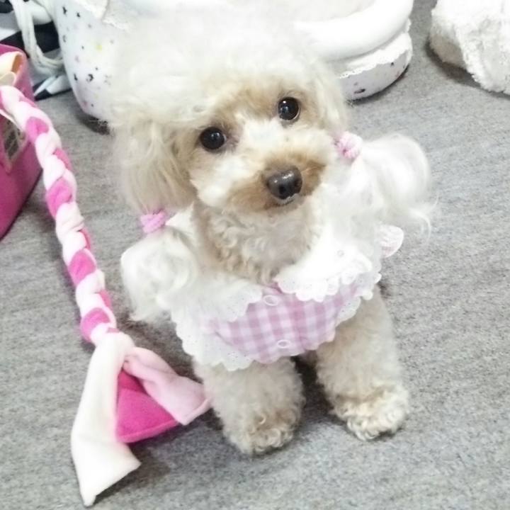 07eb456e 5dde 4373 8c64 c557e54dfb35 1533643341656