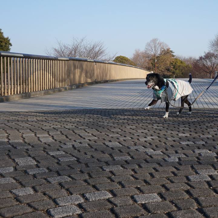 07eb46b7 2dd3 41a3 86b6 25fce7b8d475 1771117577224