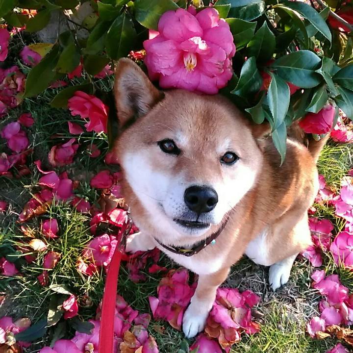 07eb488e 8e6b 4c82 bd48 2b3a7d48da72 1553589105178