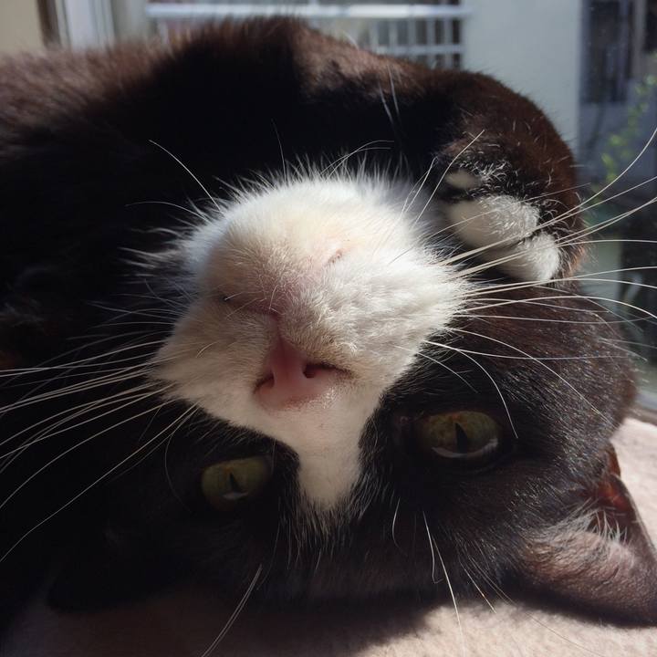 07eb4d01 9291 45e0 947b 52d8240e8259 1553211002458