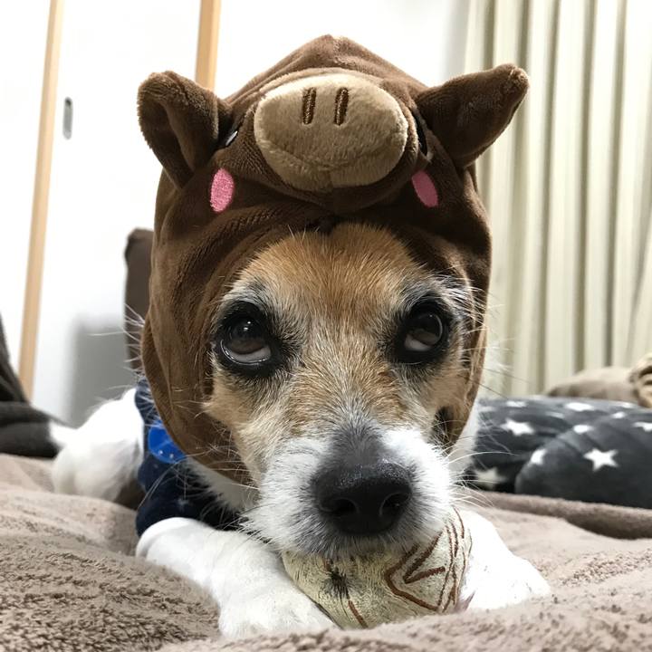 07eb9924 db6e 4b64 8170 13800f475290 1577802614106