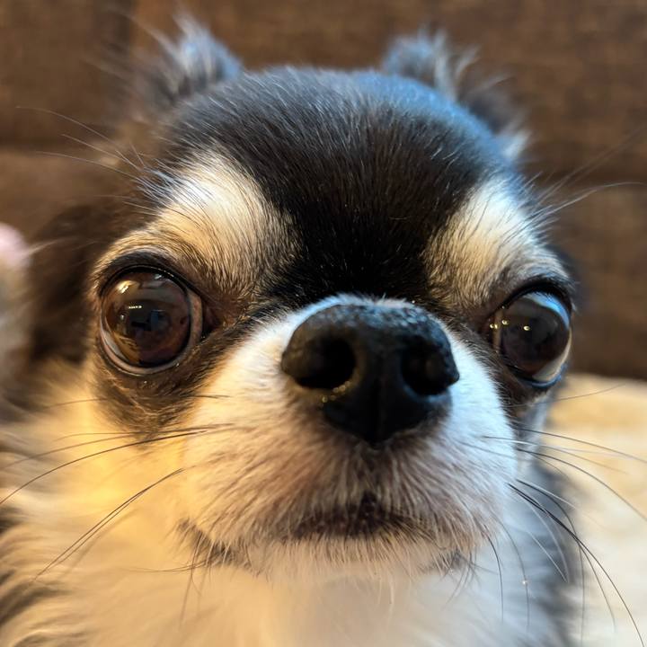 07ebb785 88c1 4480 a8f6 c9f926f186f8 1731108501729